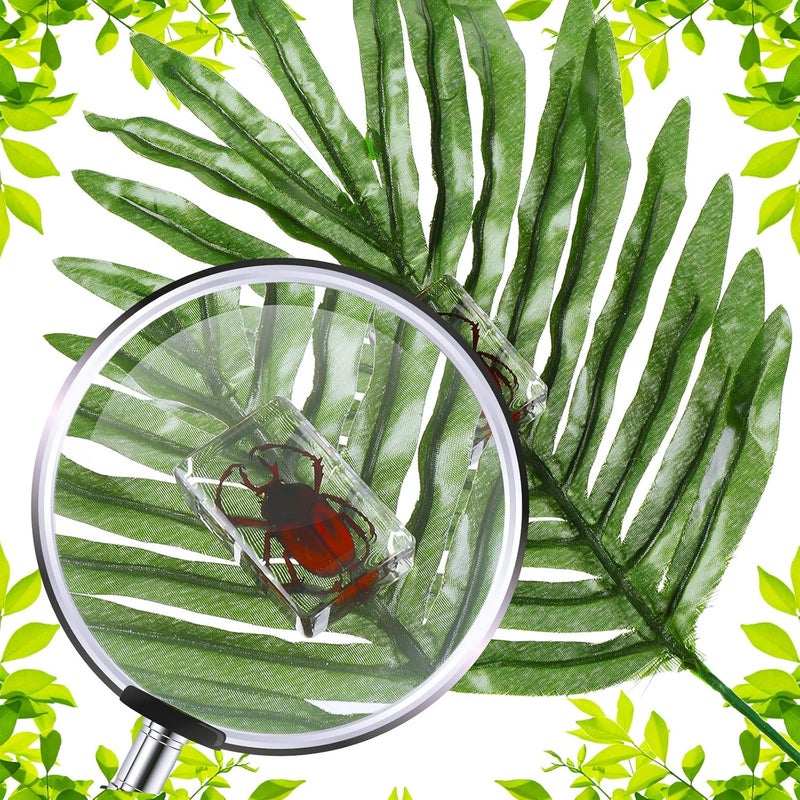 Macarrie 12 Pcs Insect Specimens, Bugs Collection Real Specimens of Butterflies and Beetles Made of Resin for Kids Classroom Science Education Animal Collection, Bug Preserved, Biology(Ladybug) - Image 3